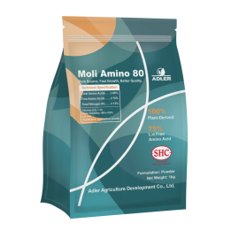 ADL104 Moli Amino 80 – Amino 80% Hấp Thu Nhanh & Khỏe Cây