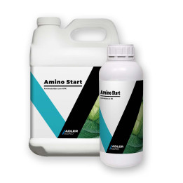 Amino Start