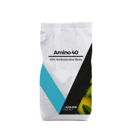 AMINO 40 WSP