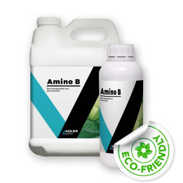 AMINO B