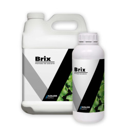 Brix