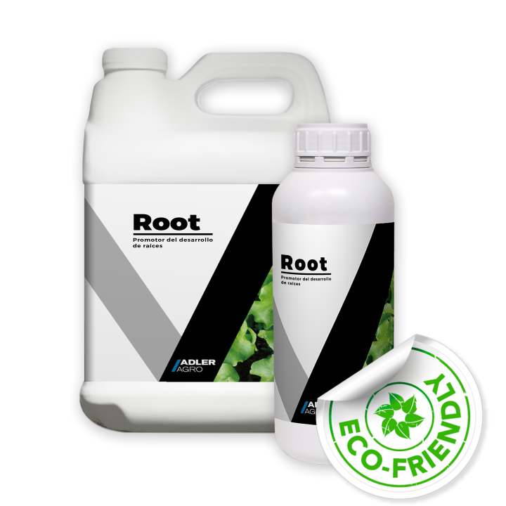ROOT