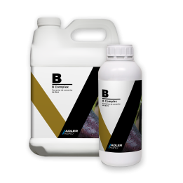 B Complex