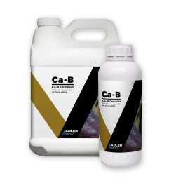 Ca-B COMPLEX
