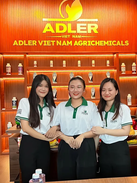 Khai trương văn phòng đại diện tại Cần Thơ